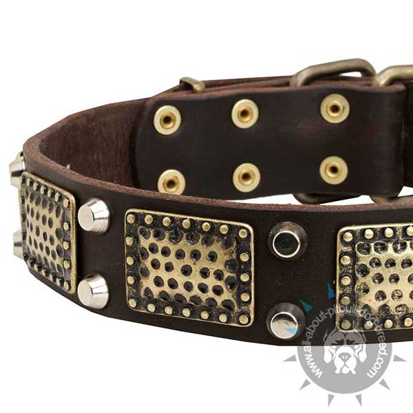 Leather Dog Collar with Massive Decorations