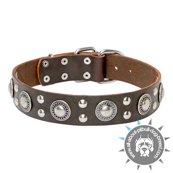 Decorated with Studs Brown Leather Collar