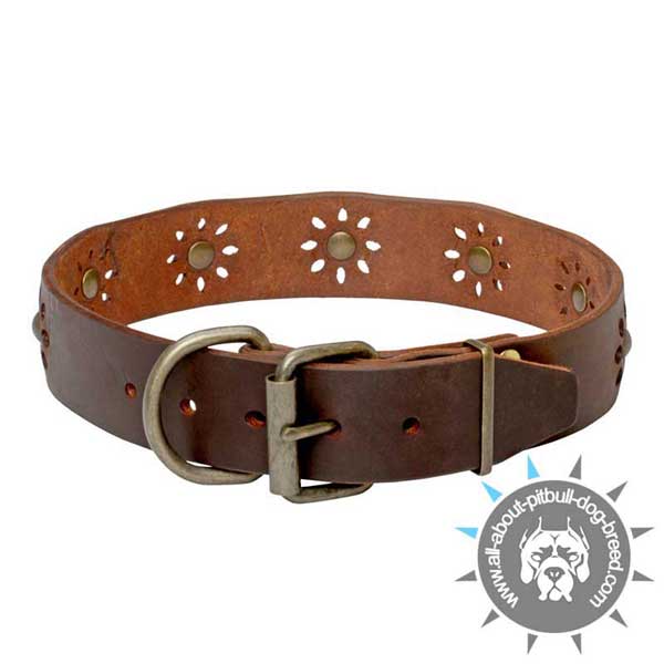 Adorned Collar Made of Genuine Leather and Rust-proof Brass