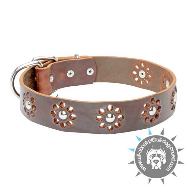 Elegant Leather Collar with Flower Decoration