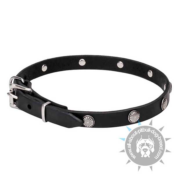 Narrow Leather Collar with Chrome Plated Studs