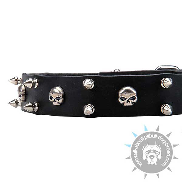 Genuine Leather Collar with Nickel Adornment