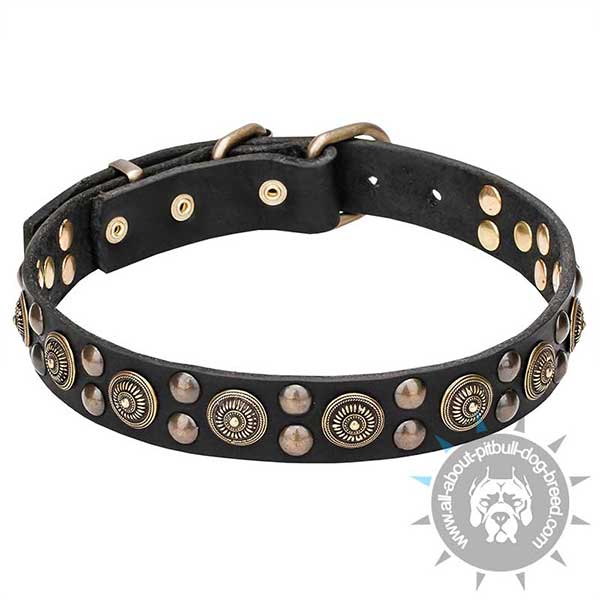 Wide Leather Pitbull Collar Decorated