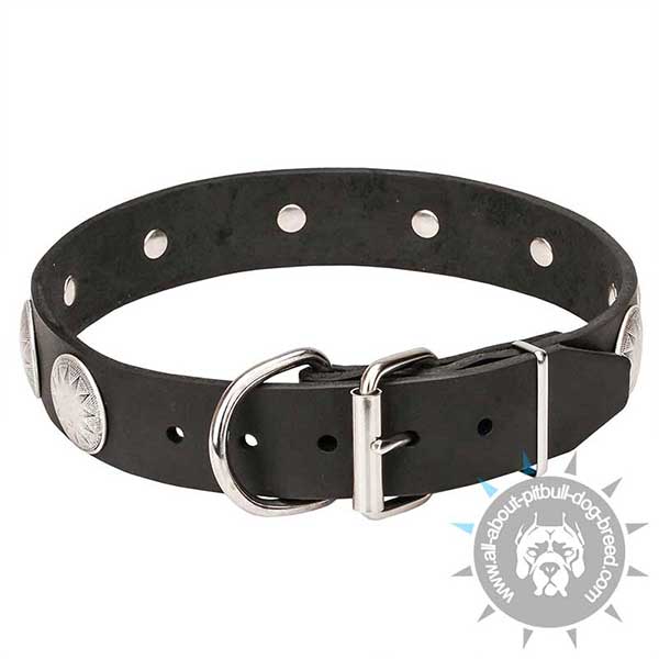 Adjustable Leather Collar with Chrome Plated Buckle