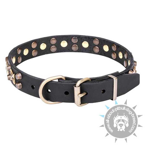 Gorgeous Leather Pitbull Collar with Rust-free Fittings