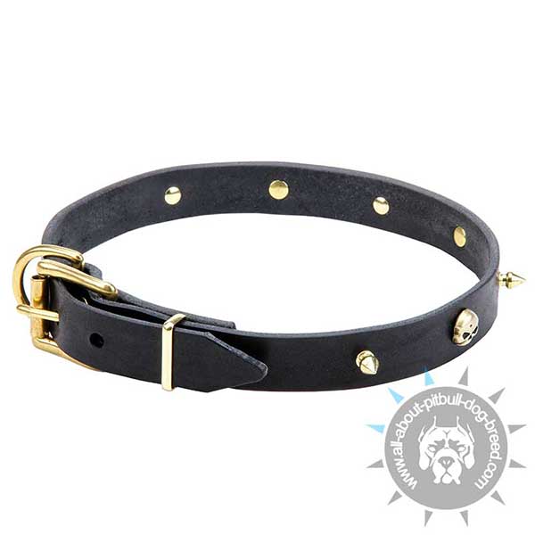 Genuine Leather Collar with Brass Hardware