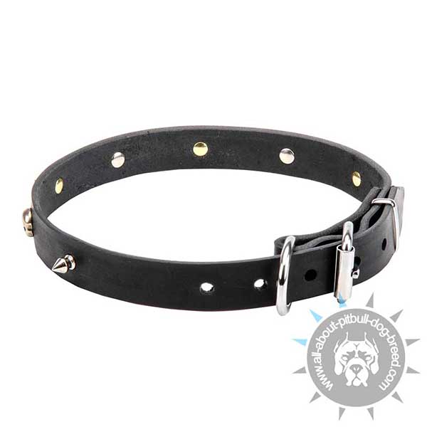 Spiked Leather Collar with Nickel Hardware