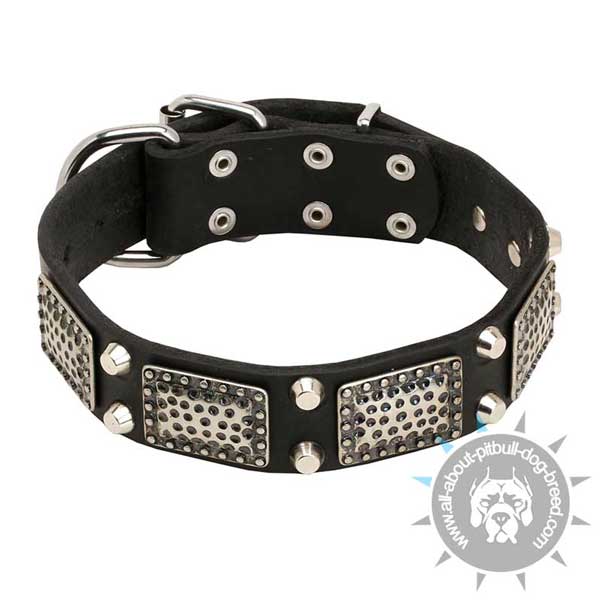 Decorated Leather Pitbull Collar