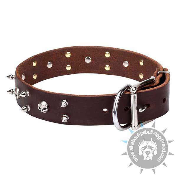 Adorned Leather Collar with Riveted Hardware
