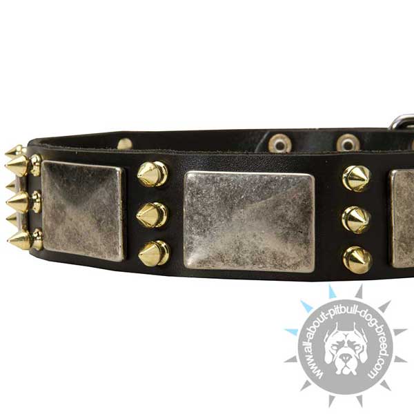 Decorations on Leather Pitbull Collar