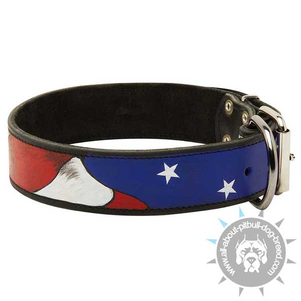 Bright and Attractive leather dog collar