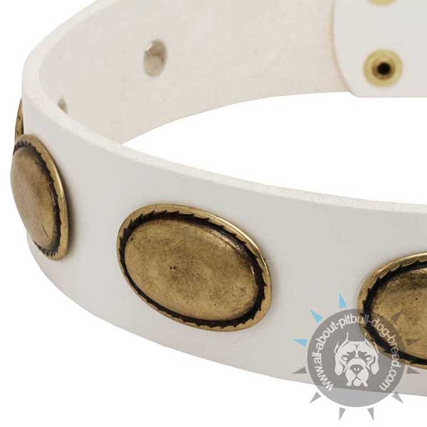 White leather dog collar adorned with antique brass plates 