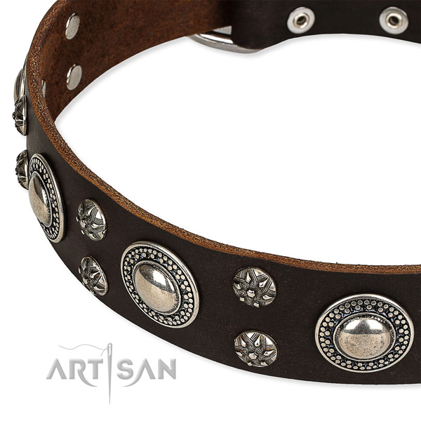 Easy to adjust leather dog collar with extra strong brass plated fittings