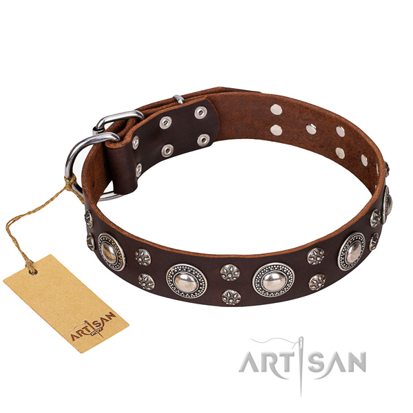 Reliable leather dog collar with riveted details