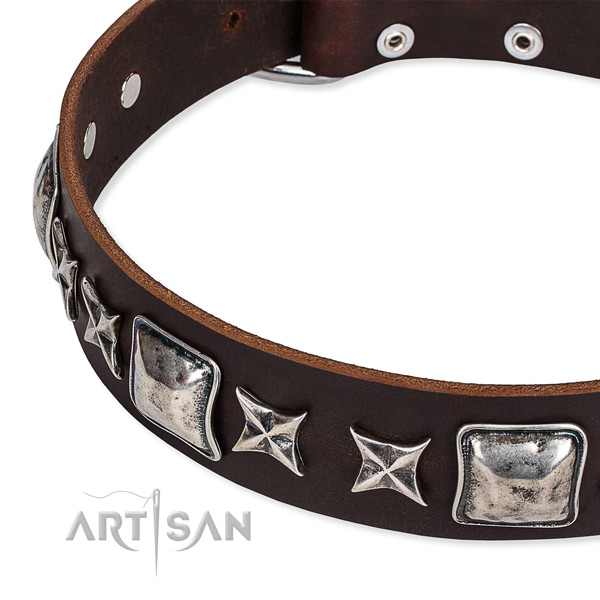 Full grain natural leather dog collar with embellishments for daily walking