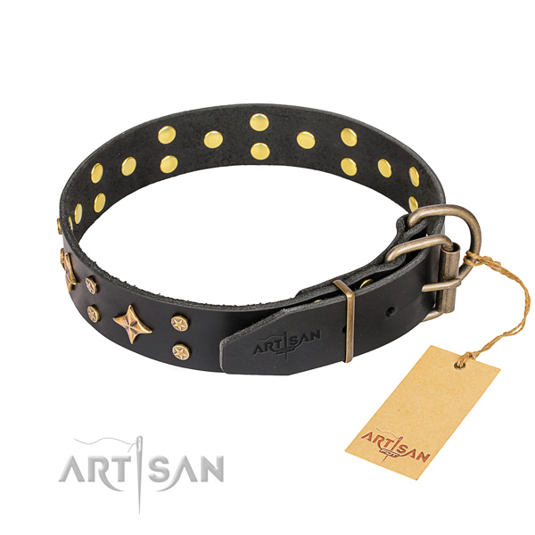 Walking full grain leather collar with adornments for your four-legged friend