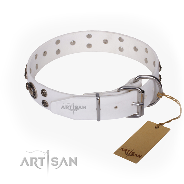 Everyday use genuine leather collar with embellishments for your doggie