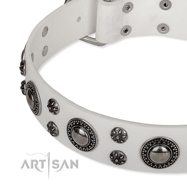 Daily use leather collar with durable buckle and D-ring