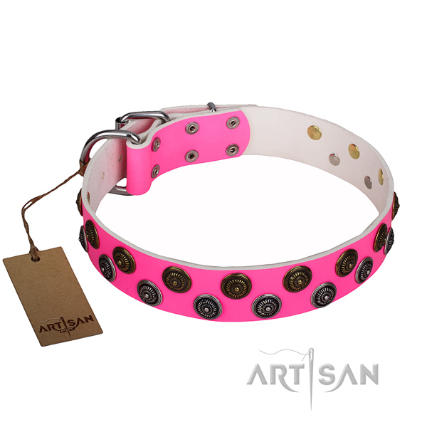 Impressive full grain leather dog collar for everyday use