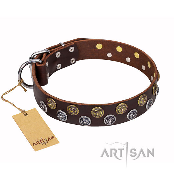 Top notch full grain leather dog collar for daily walking