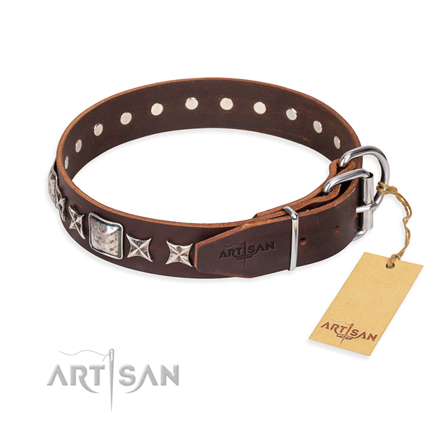Walking full grain genuine leather collar with embellishments for your doggie