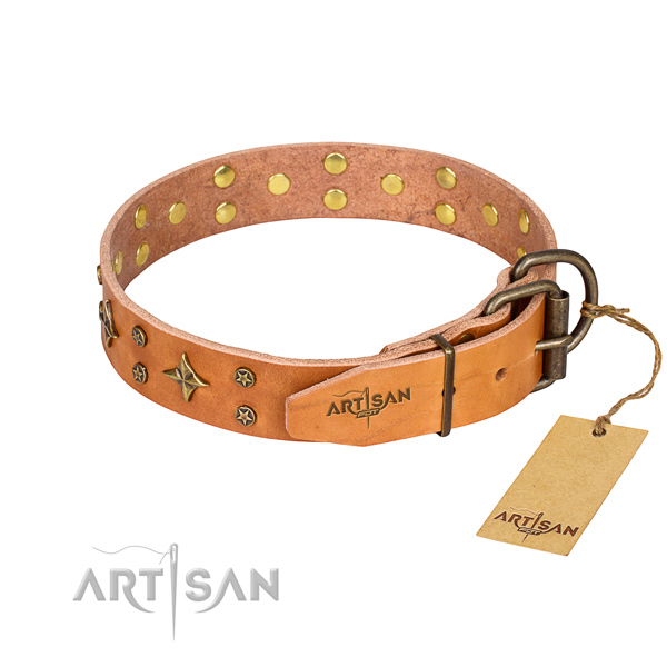 Everyday walking full grain leather collar with decorations for your canine