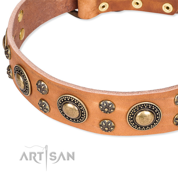 Leather dog collar with amazing decorations