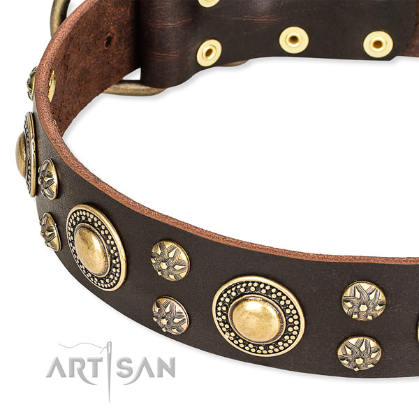 Leather dog collar with impressive studs