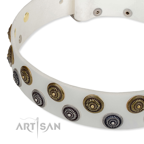 Genuine leather dog collar with significant embellishments