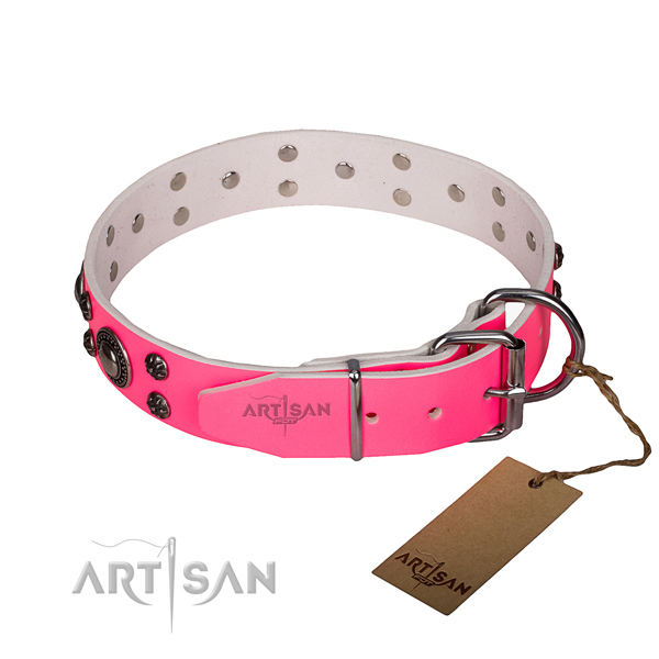 Walking genuine leather collar with strong buckle and D-ring