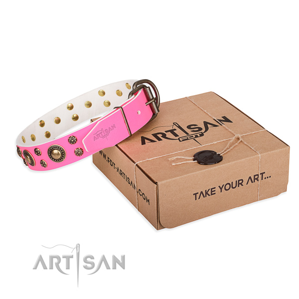 Genuine leather dog collar with embellishments for walking