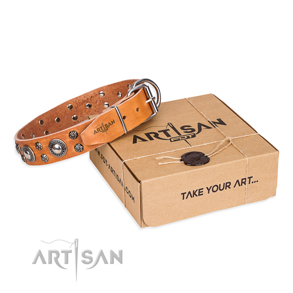 Designer full grain genuine leather dog collar for stylish walks