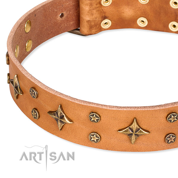 Full grain genuine leather dog collar with unique embellishments