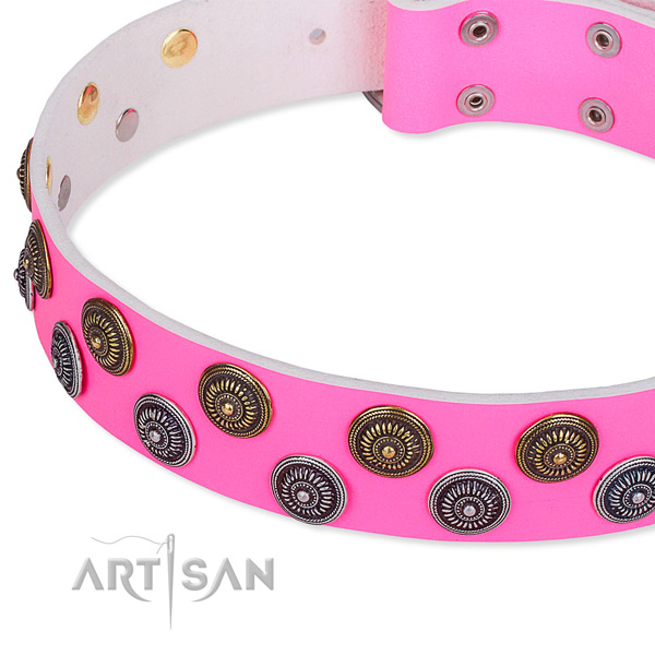 Full grain leather dog collar with incredible adornments