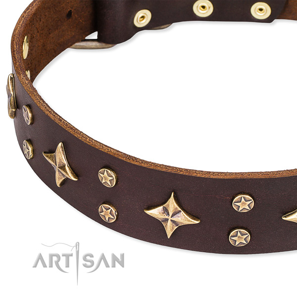 Full grain genuine leather dog collar with awesome decorations