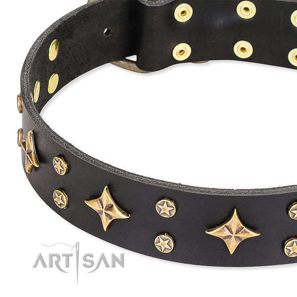 Full grain leather dog collar with remarkable studs