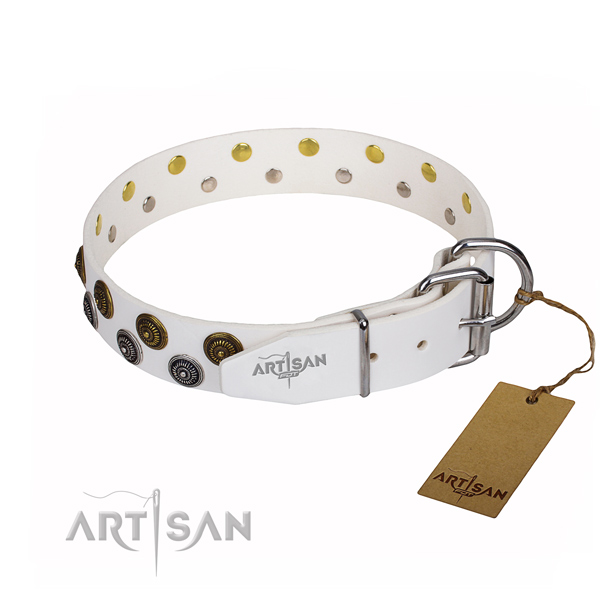 Everyday walking full grain natural leather collar with studs for your pet