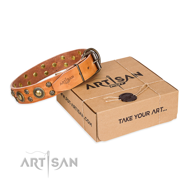 Full grain leather dog collar with adornments for stylish walking