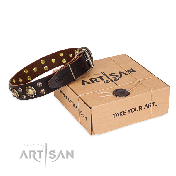 Awesome genuine leather dog collar for daily walking