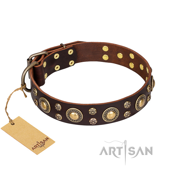 Fashionable full grain natural leather dog collar for everyday use