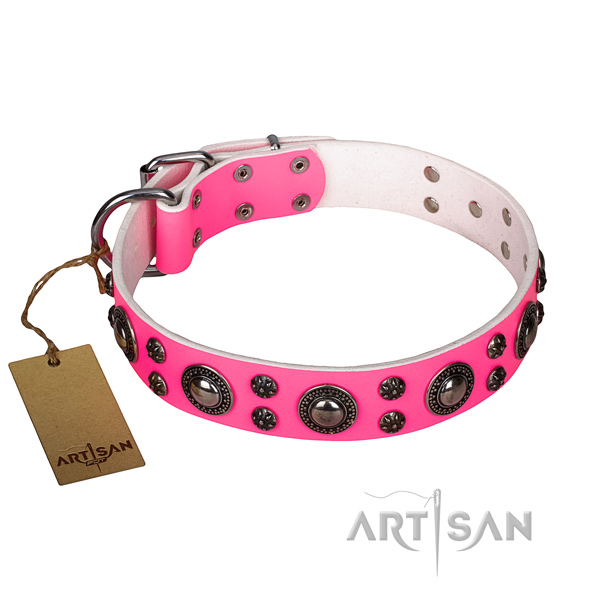 Amazing full grain genuine leather dog collar for stylish walking
