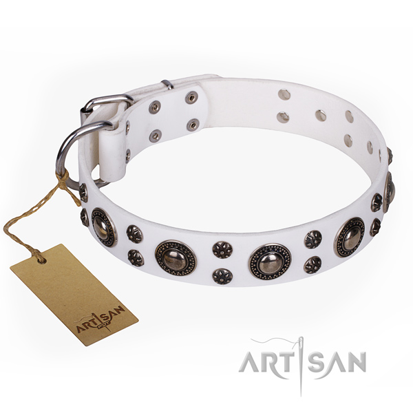 Incredible leather dog collar for stylish walking