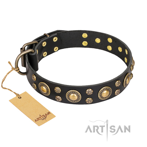 Incredible genuine leather dog collar for stylish walking