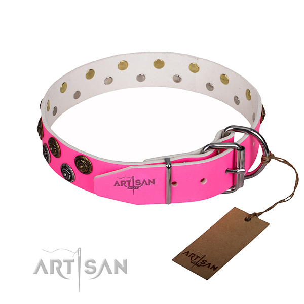 Everyday walking full grain natural leather collar with decorations for your doggie