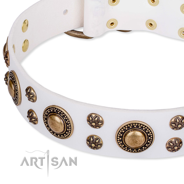 Leather dog collar with exquisite embellishments