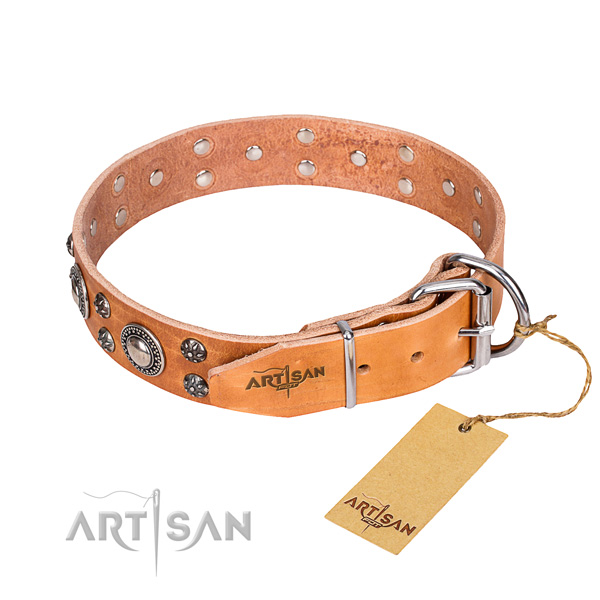 Stylish walking full grain leather collar with decorations for your four-legged friend