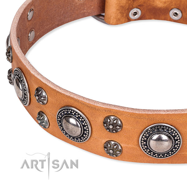 Everyday use full grain genuine leather collar with rust-proof buckle and D-ring