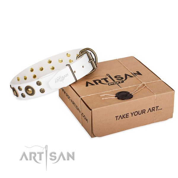 Full grain genuine leather dog collar with studs for everyday walking