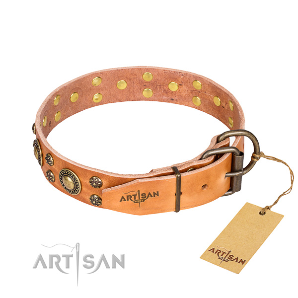 Daily use full grain genuine leather collar with embellishments for your canine