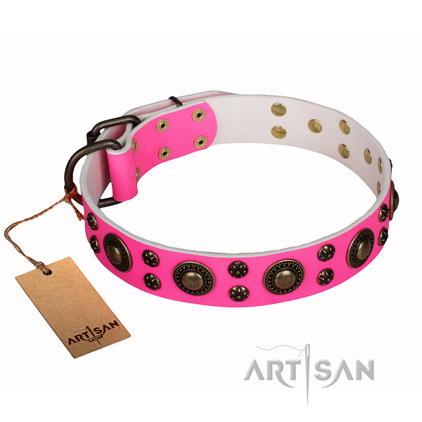 Everyday walking full grain genuine leather collar with studs for your doggie